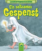 Ein seltsames Gespenst (fixed-layout eBook, ePUB)