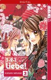 3, 2, 1 ... Liebe! Bd.3 (eBook, ePUB)