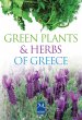 Green plants and Herbs of Greece... - Bild 1