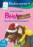 Paula auf dem Ponyhof. Das kleine Weihnachtspony (eBook, ePUB)