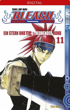Cover Ein Stern und ein streunender Hund / Bleach Bd.11 (eBook, ePUB)