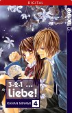 3, 2, 1 ... Liebe! Bd.4 (eBook, ePUB)