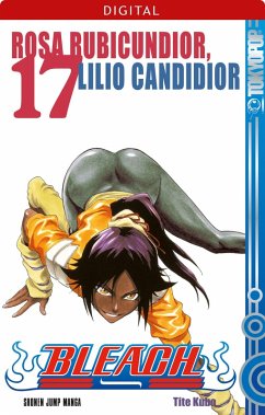 Cover Roter als eine Rose, weißer als eine Lilie / Bleach Bd.17 (eBook, ePUB)