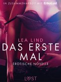 Das erste Mal: Erotische Novelle (eBook, ePUB)