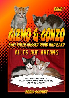 GIZMO & GONZO - Zwei Kater außer Rand und Band (eBook, ePUB) - Schmidt, Boris