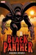 Black Panther - Wer ist Black Panther?... - Bild 1