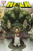 Hulk 4 - Punktlandung (eBook, ePUB)
