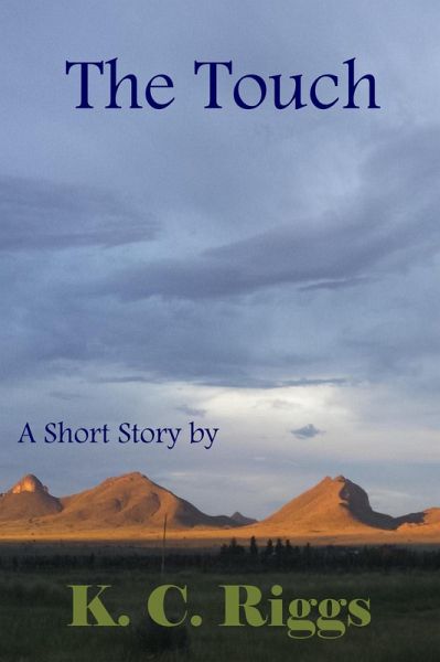 The Touch (eBook, ePUB)