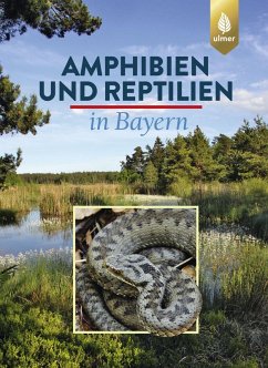 Amphibien und Reptilien in Bayern (eBook, PDF) - Andrä, Eberhard; Aßmann, Otto; Dürst, Thomas; Hansbauer, Günter; Zahn, Andreas