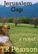 Jerusalem Gap (eBook, ePUB) - Bild 1