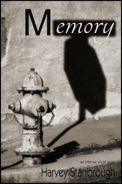 Memory (eBook, ePUB)
