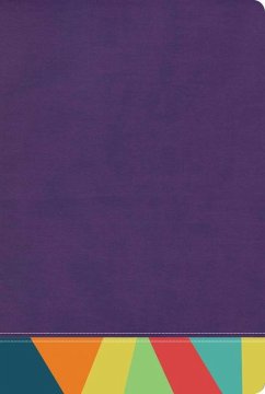 Rvr 1960 Biblia de Estudio Arcoiris, Morado/Multicolor