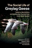 The Social Life of Greylag Geese