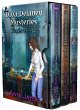 Diva Delaney Mysteries: Bundle 4: Books... - Bild 1