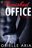 Punished at the Office (eBook, ePUB)