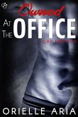 Owned at the Office (eBook, ePUB) Owned at the Office (eBook, ePUB)