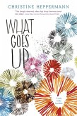 What Goes Up (eBook, ePUB)