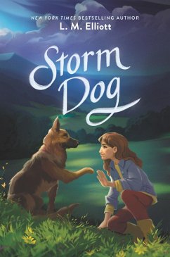 Cover Storm Dog (eBook, ePUB)