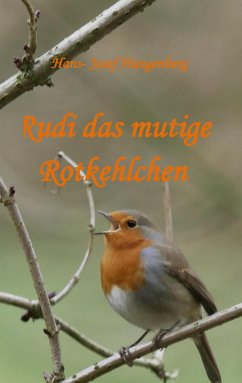 Rudi das mutige Rotkehlchen - Hungenberg, Hans-Josef