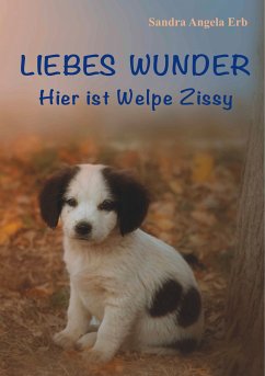 Liebes Wunder (eBook, ePUB)