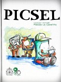 PICSEL (eBook, ePUB)