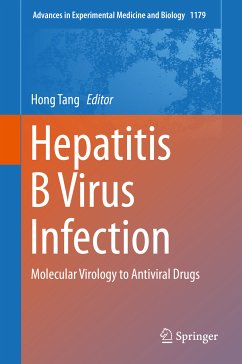 Hepatitis B Virus Infection (eBook, PDF)