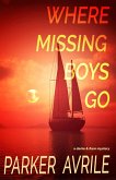 Where Missing Boys Go: A Darke and Flare Mystery (eBook, ePUB)