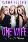 One Wife Too Many (eBook, ePUB)