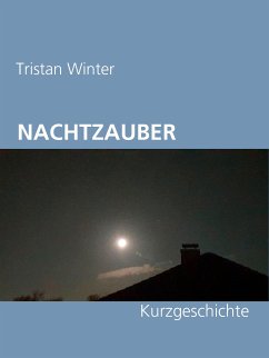 Nachtzauber (eBook, ePUB)