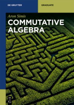 Commutative Algebra - Simis, Aron