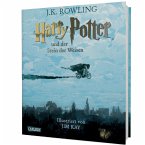 Harry Potter und der Stein der Weisen / Harry Potter Schmuckausgabe Bd.1