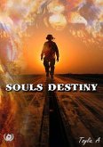 Souls Destiny Souls Destiny