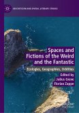 Spaces and Fictions of the Weird and the Fantastic (eBook, PDF)