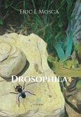 Drosophila (eBook, ePUB)
