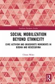 Social Mobilization Beyond Ethnicity (eBook, ePUB)