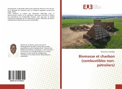 Biomasse et charbon (combustibles non-pétroliers) - Coulibaly, Nanourou