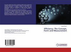 Efficiency: The Concept, Form and Measurement - Riyardi, Agung