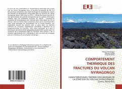 COMPORTEMENT THERMIQUE DES FRACTURES DU VOLCAN NYIRAGONGO - Mufungizi, Marius; Ciraba, Honoré; Birindwa, King