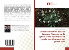 Efficacité d'extrait aqueux d'Agavae Sisalana sur la pyriculariose foliaire du riz causée par Magnaporthe grisae Barr - Adjessi Videke, Mokpokpo