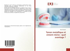 Tenon metallique et ciment résine : quel avantage ? - Noujaim, Dany