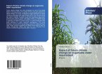 Impact of future climate change on sugarcane water requirement