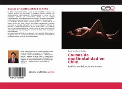 Causas de mortinatalidad en Chile