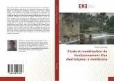 Étude et modélisation du fonctionnement d'un électrolyseur à membrane