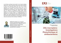 Zilla macroptera: Investigations Phytochimique et antibacteriènne - Berreghioua, Abdelaziz;Cheriti, Abdelkrim