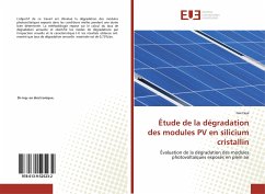 Étude de la dégradation des modules PV en silicium cristallin - Faye, Issa