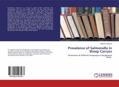 Prevalence of Salmonella in Sheep Carcass - Anteneh, Habtamu