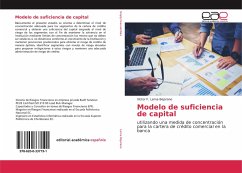 Cover Modelo de suficiencia de capital