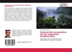 Valoración económica de los impactos ambientales