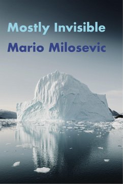 Mostly Invisible (eBook, ePUB) - Milosevic, Mario