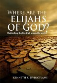 Where Are The Elijahs of God (eBook, ePUB)